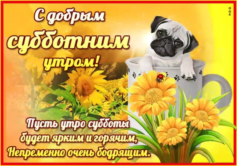 Доброе утро субботы