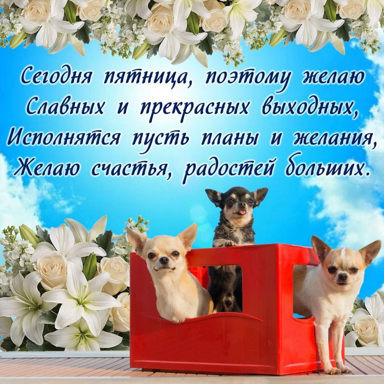 Пожелания с пятницей и выходными