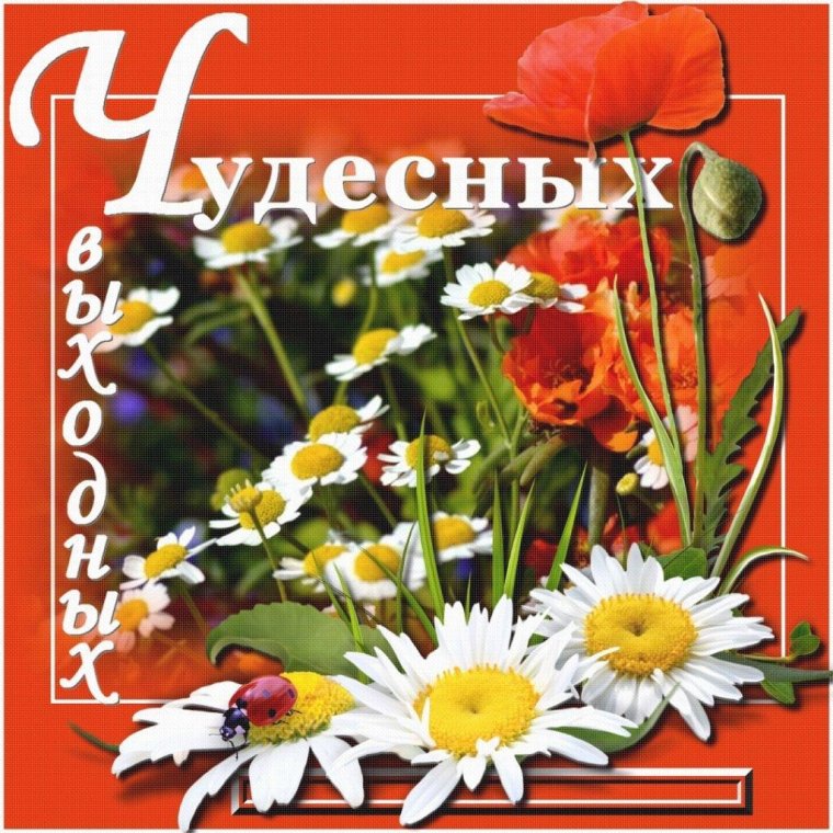 Приятных летних выходных