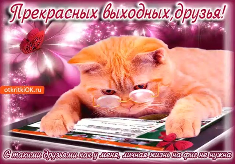 Хороших выходных друзья
