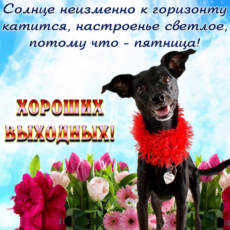 Пятница открытки красивые