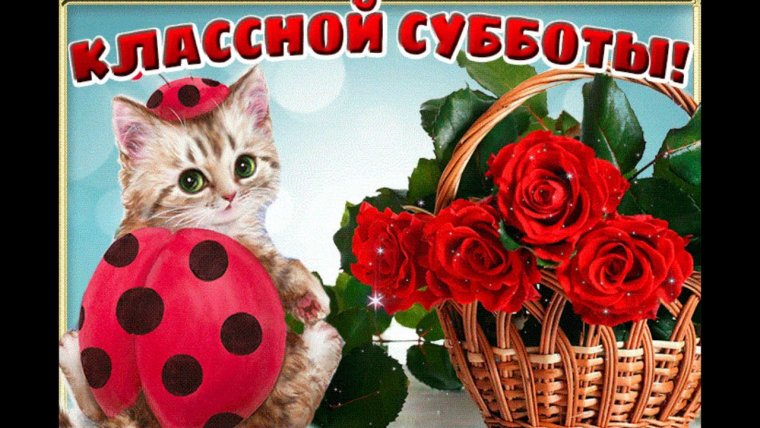 Открытки с субботой прикольные