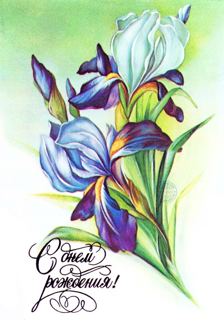 С днем рождения ирисы