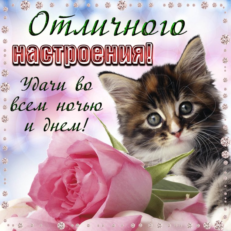 Позитивные открытки