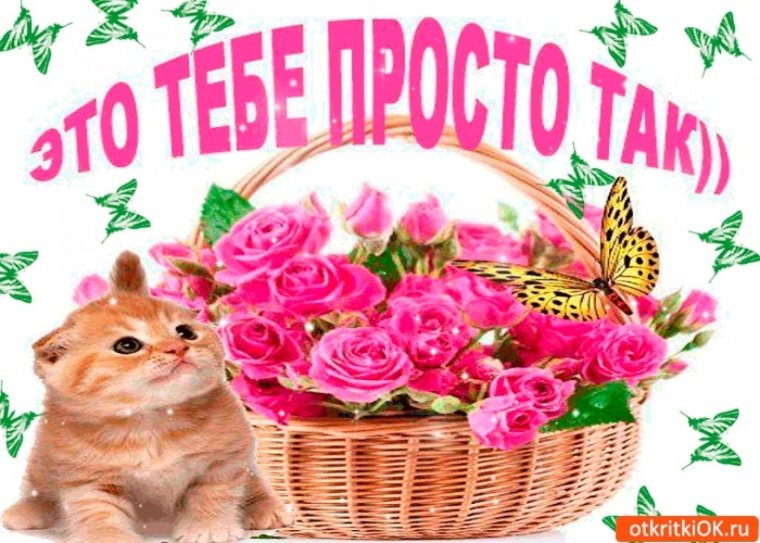 Открытка для тебя просто так