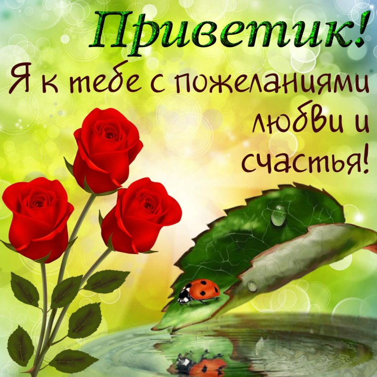 Пожелания хорошего дня и здоровья