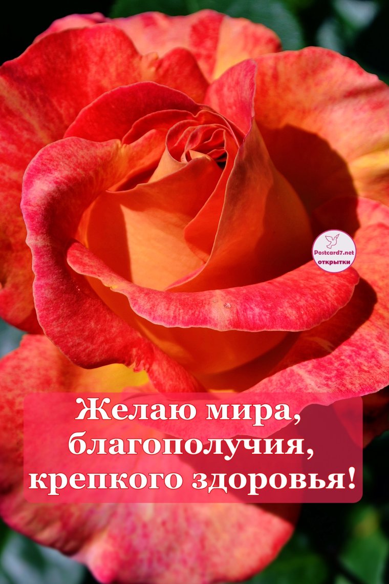 Пожелания крепкого здоровья