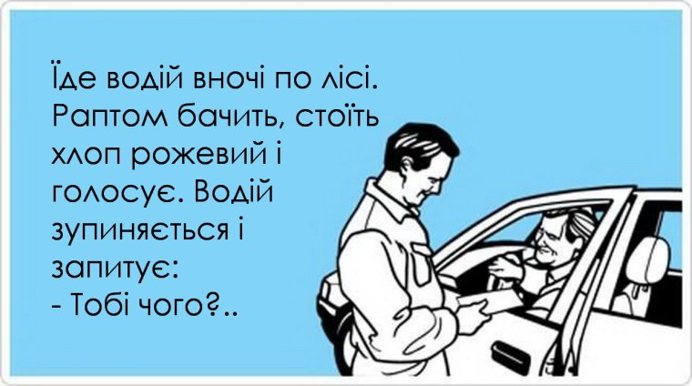 Девушка с водительскими правами