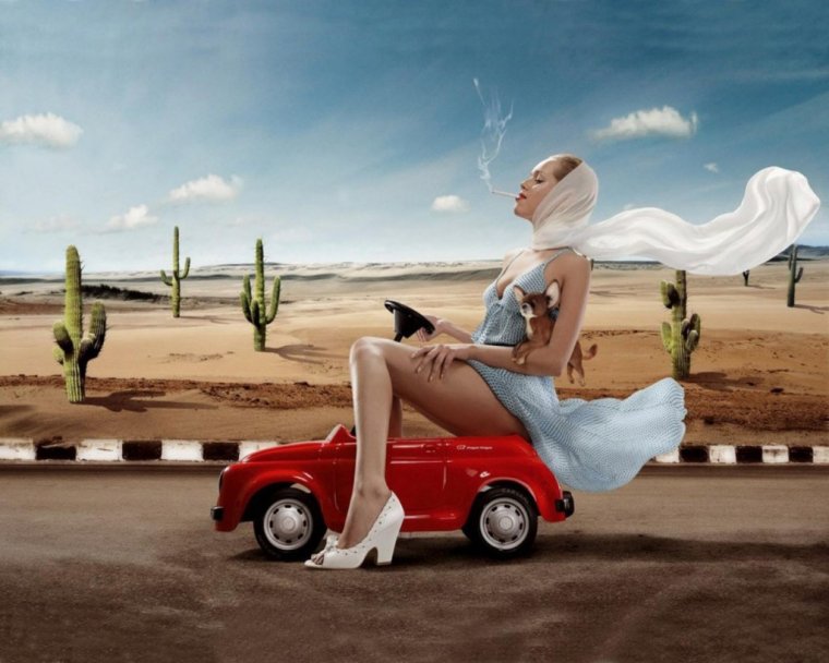 Автошкола карикатуры