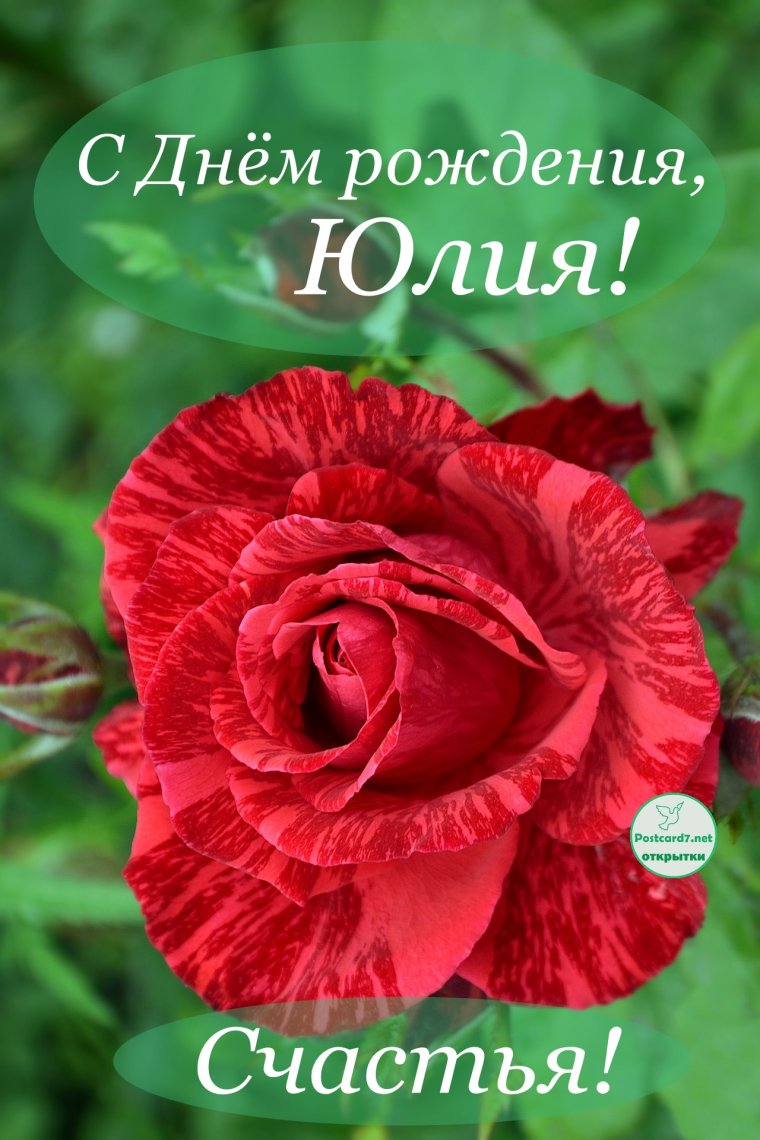 С днём рождения Юля