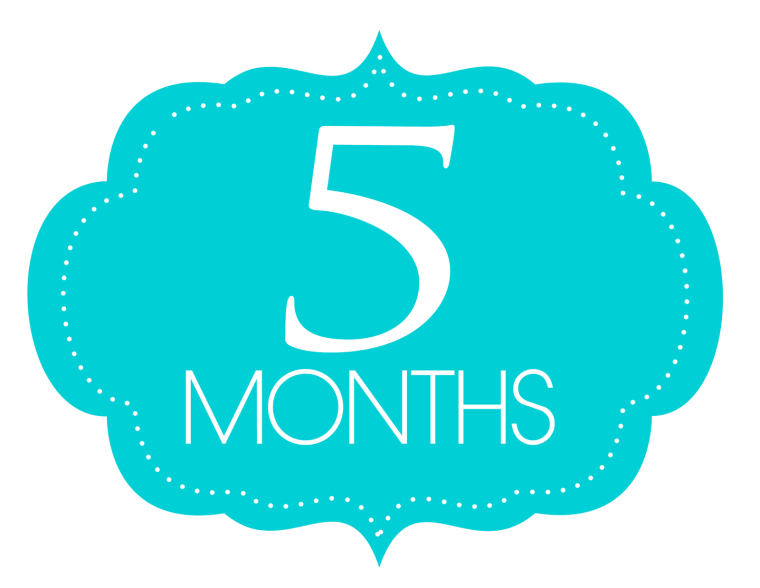 8 Месяцев ребенку фотосессия