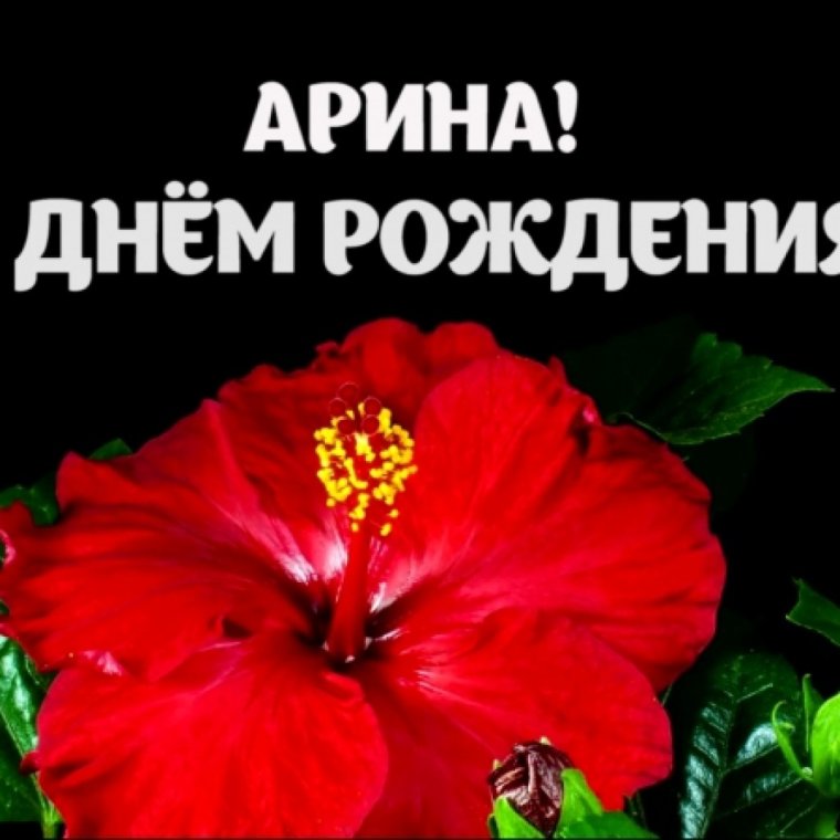 С днём рождения Арина