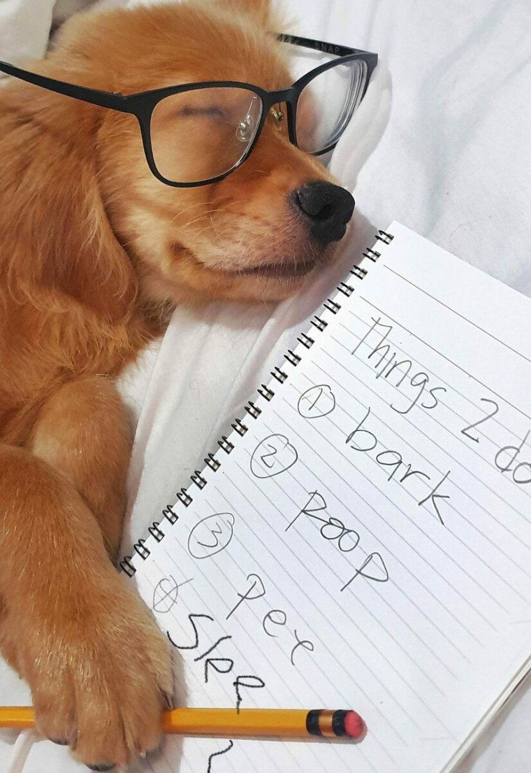 Интересные планы на день