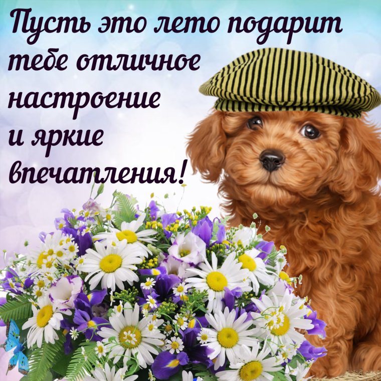 Летние открытки с пожеланиями