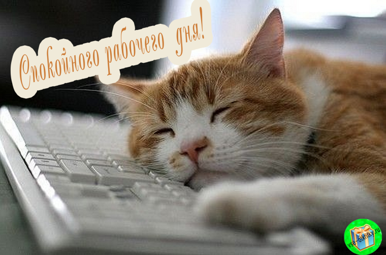 Плодотворного рабочего дня прикольные