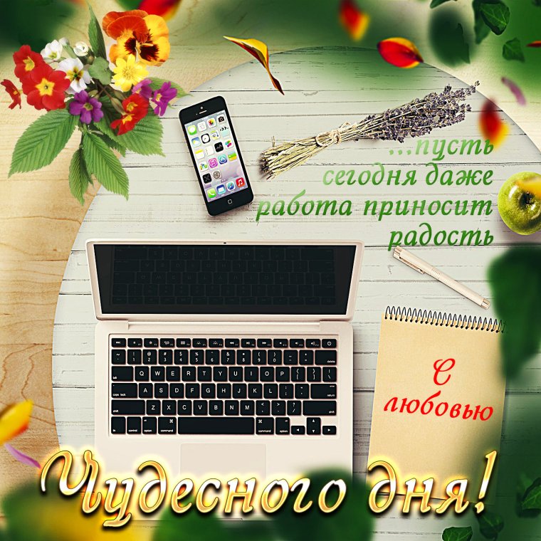 Открытка добрый день для мужчины