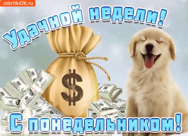 Легкого понедельника с собаками