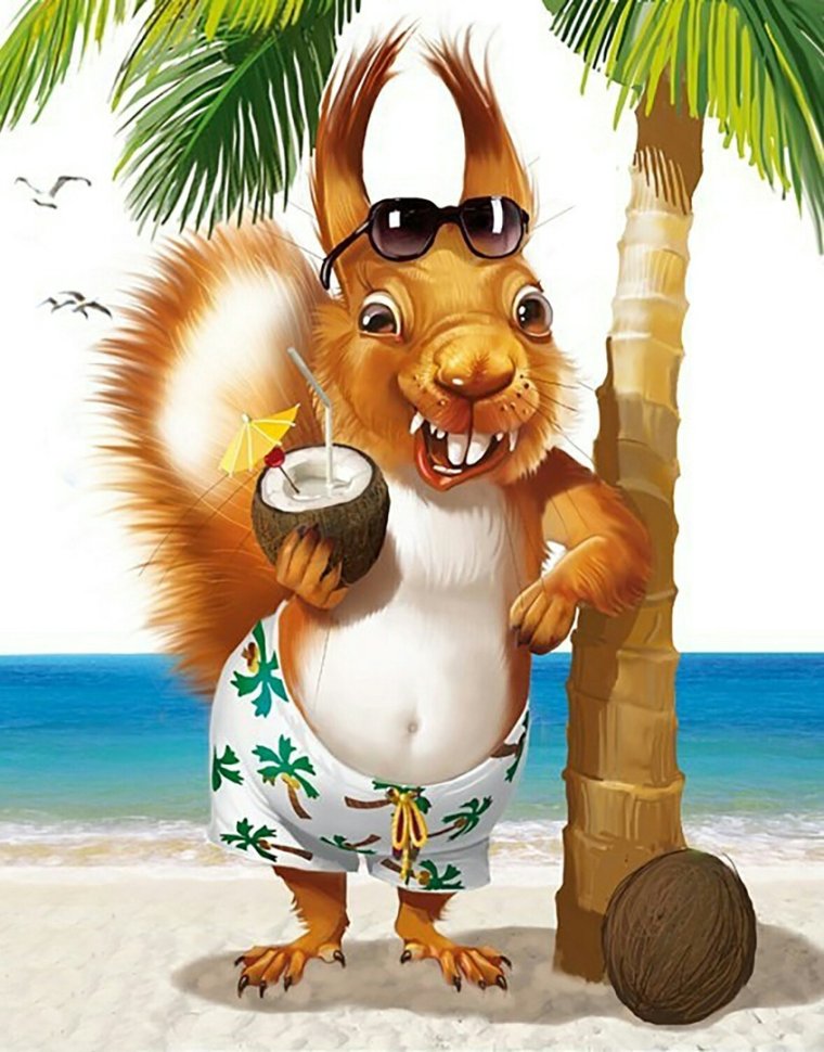 Летние каникулы