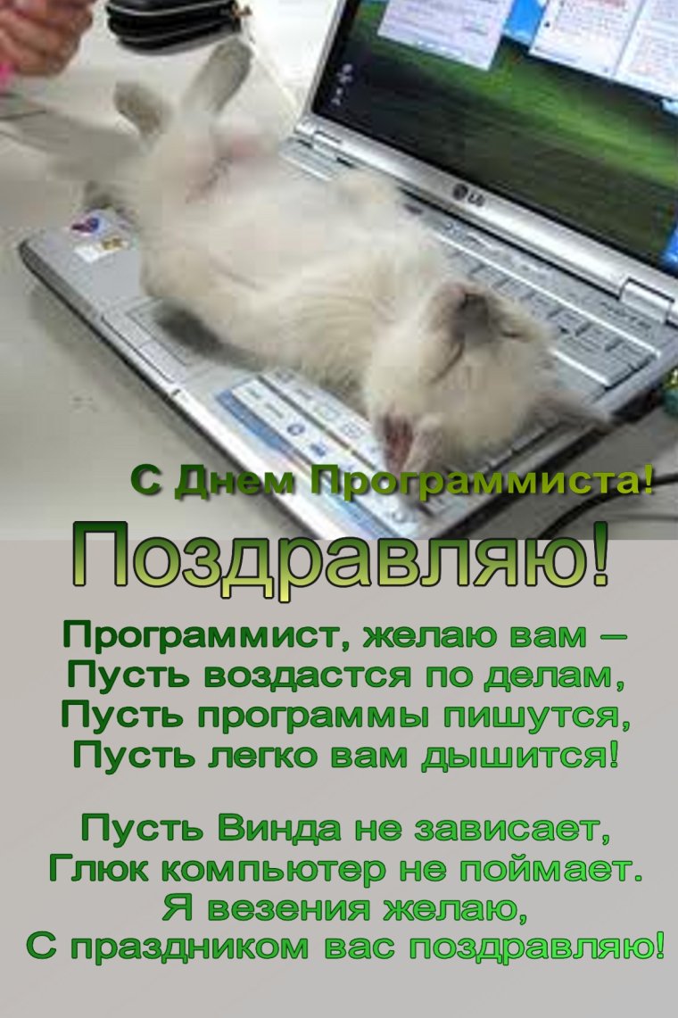 День программиста открытки и поздравления