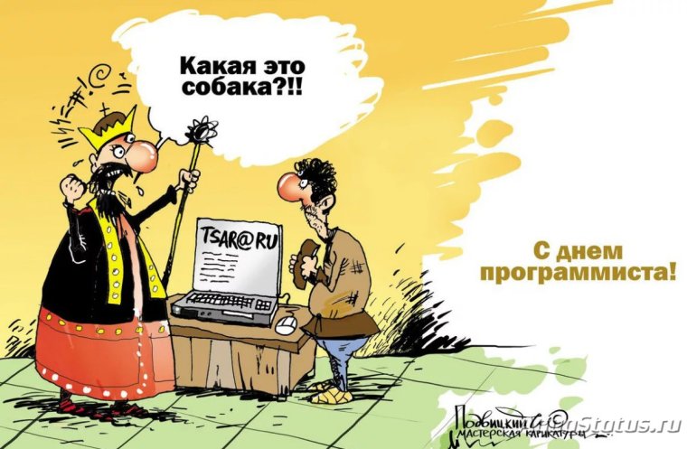 День программиста поздравление
