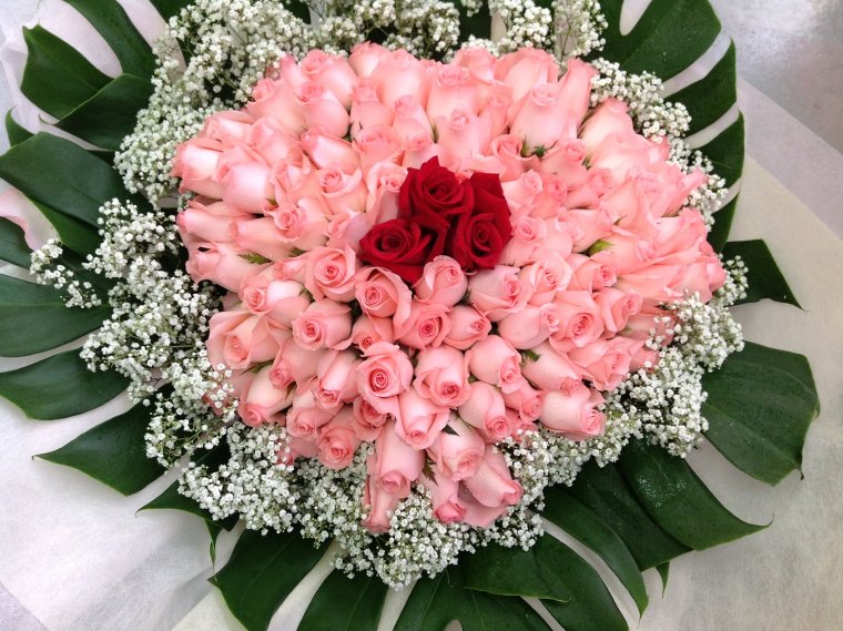 Девушка с розой