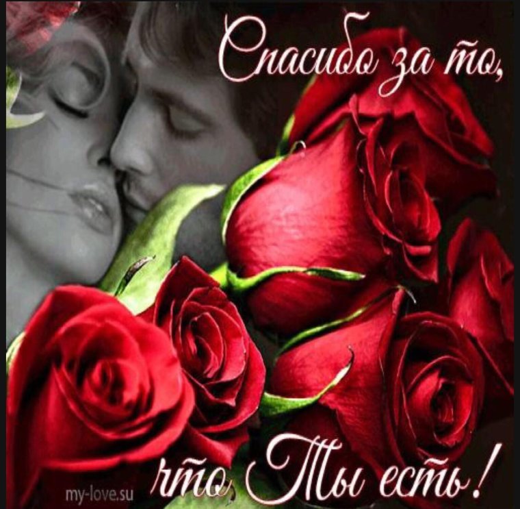 Огромный букет