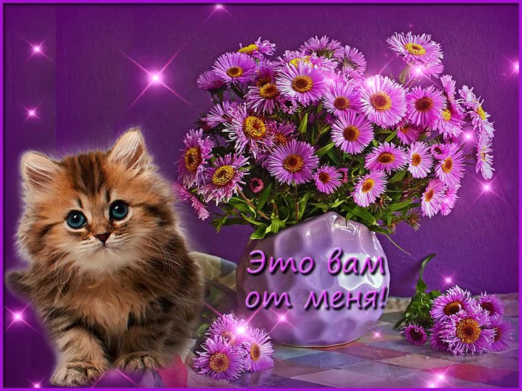 Самой нежной и красивой розы