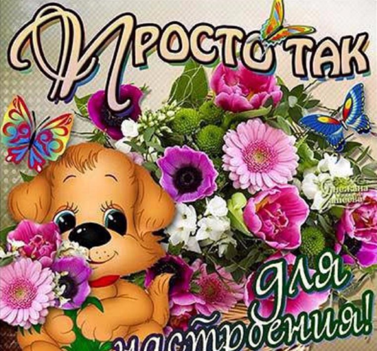 Букет живых роз