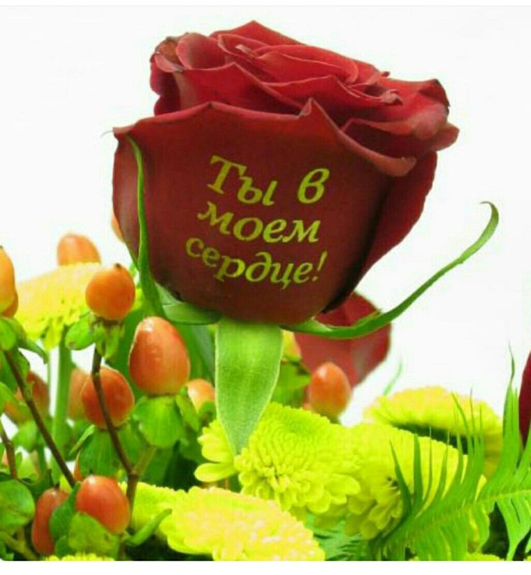 Цветы для любимой женщины