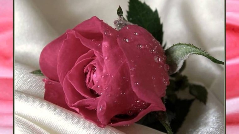 Стихи для девушки