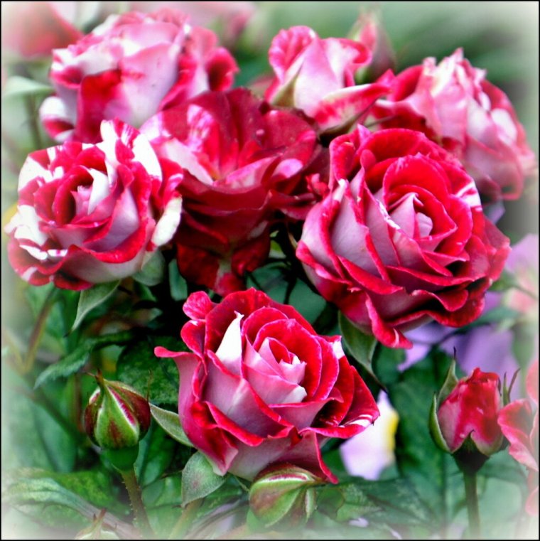 Поздравление с днем рождения коллеге