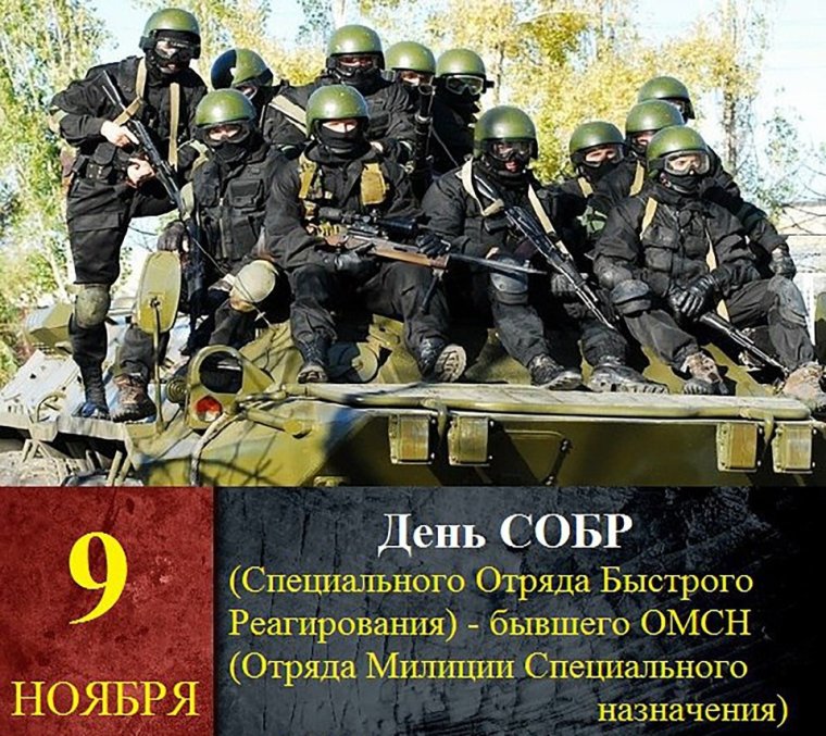 День специального отряда быстрого реагирования СОБР МВД РФ 9 ноября