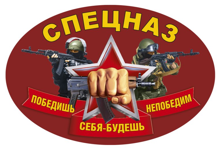 ССО РФ эмблема