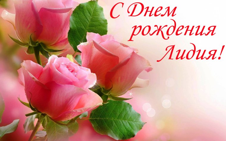 С днём рождения Лида