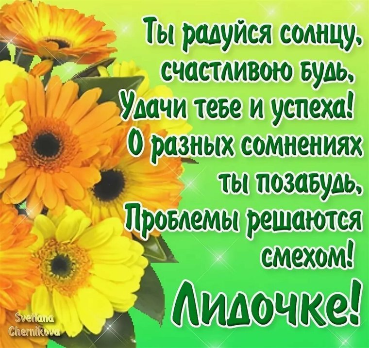 Поздравления с днём рождения Лидочке