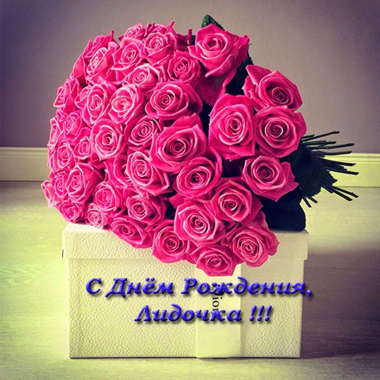С днём рождения Лида