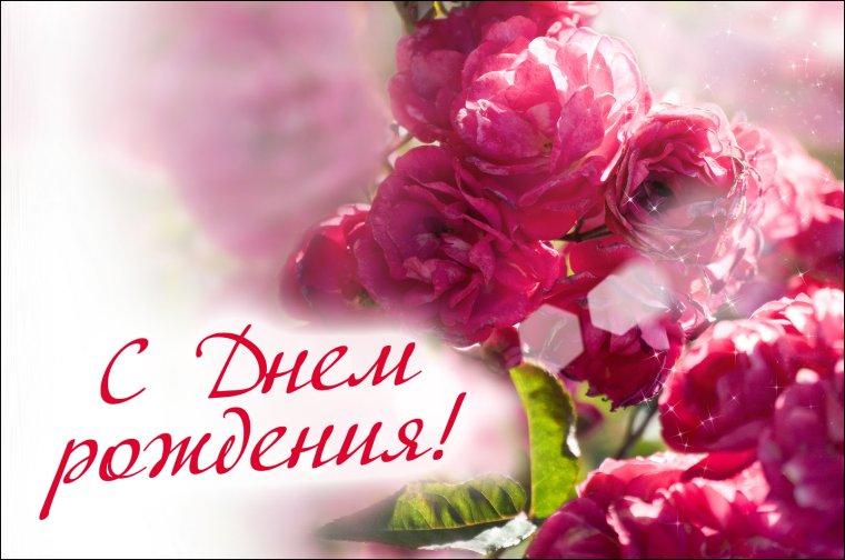 Поздравления с днём рождения свете