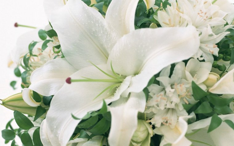 Букет лилий с днем рождения