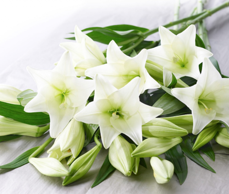 С днём рождения Лилия открытки