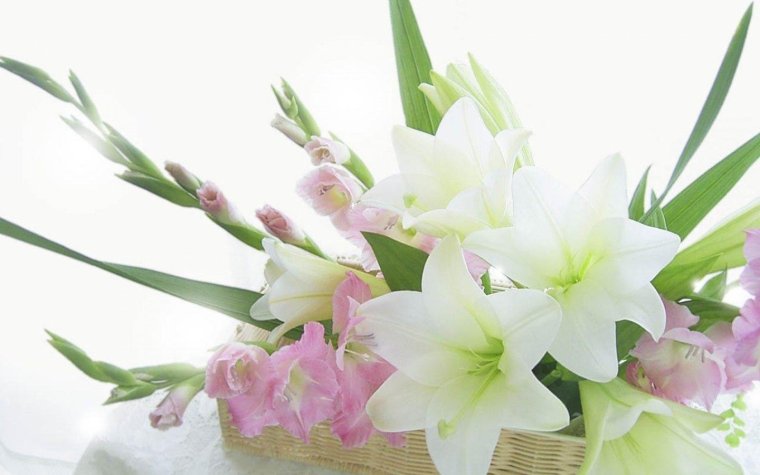 Букет лилий для любимой