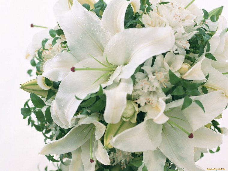 Штурм лилии букет
