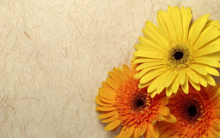 Христианские поздравления