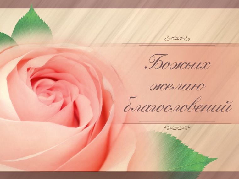 Стихи о сегодняшнем дне