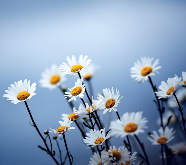 Христианские пожелания на день