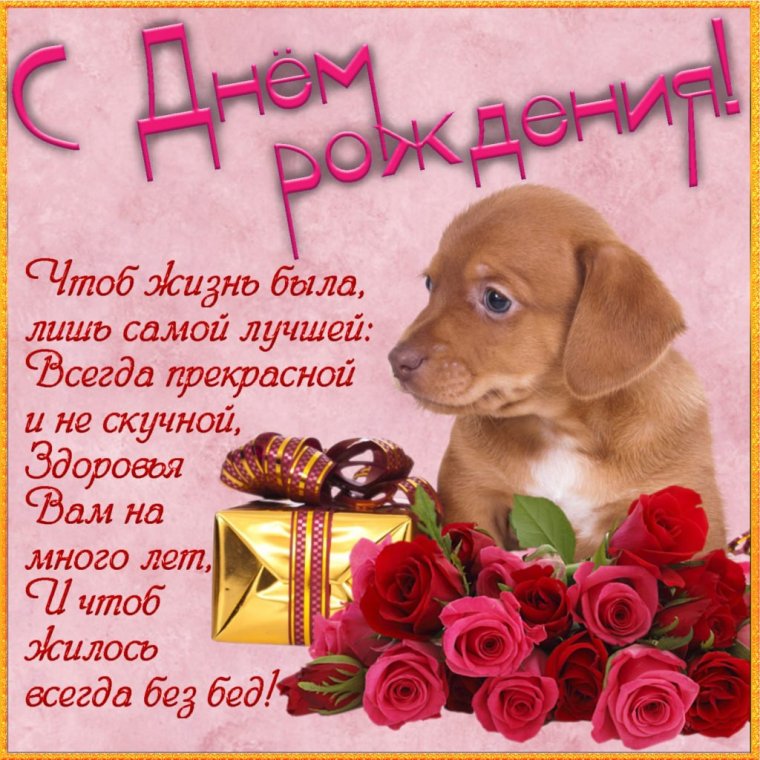Поздравления с днём рождения собаке
