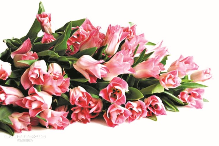 Спасибо за внимание цветы