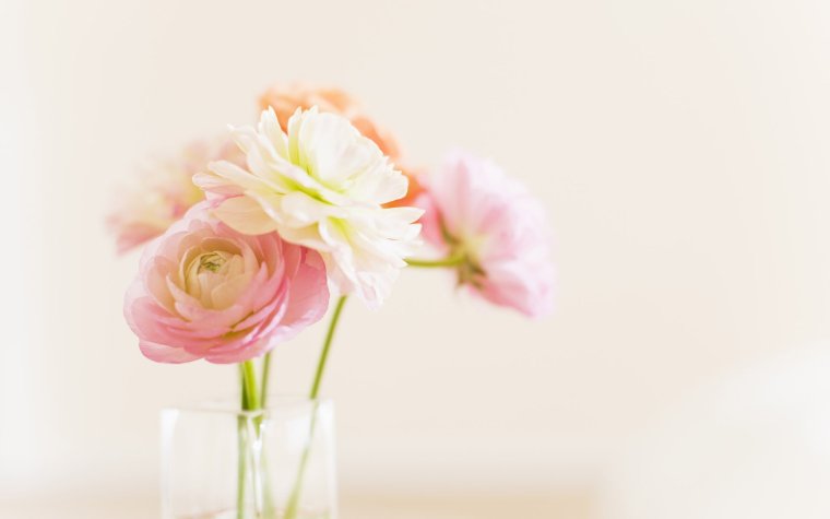 Нежные цветы на Светлом фоне