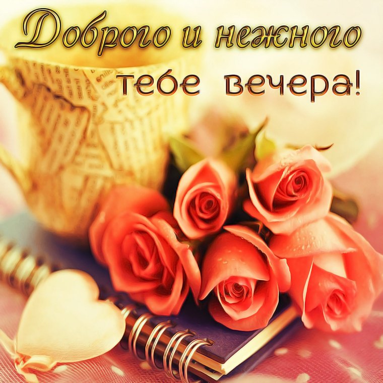 Цветы с пожеланием доброго вечера
