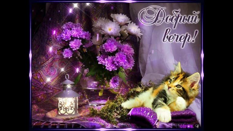 Добрый вечер друзья