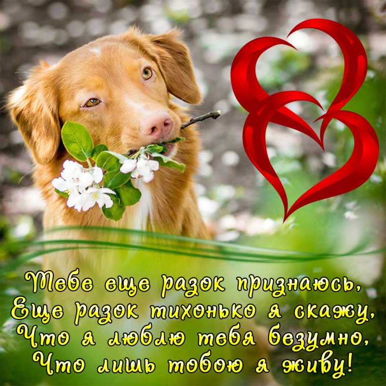 Открытки для любимого человека